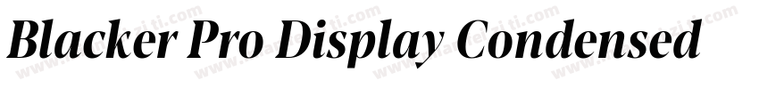 Blacker Pro Display Condensed Trial字体转换